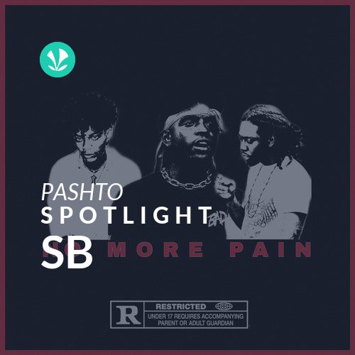 SB - Spotlight