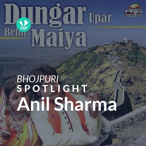 Anil Sharma - Spotlight