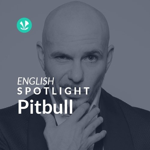 Pitbull - Spotlight