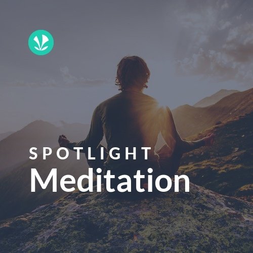 Meditation - Spotlight