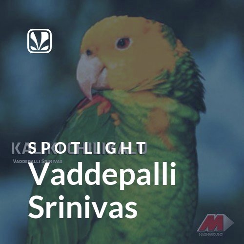 Vaddepalli Srinivas - Spotlight