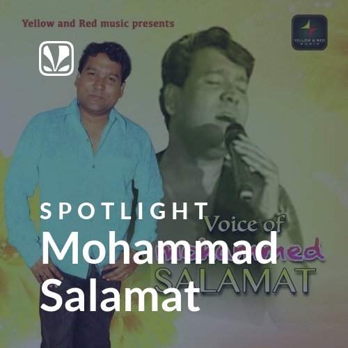 Mohammad Salamat - Spotlight