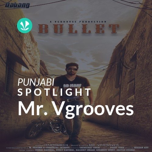 Mr. Vgrooves - Spotlight