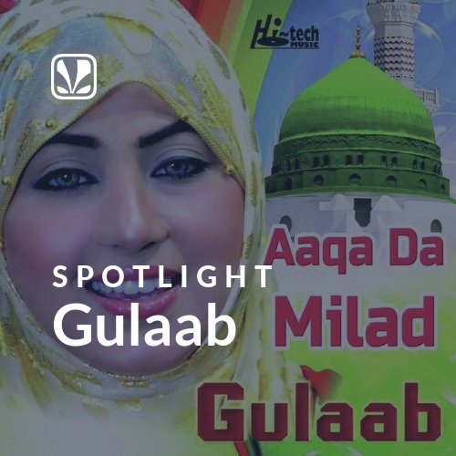 Gulaab - Spotlight