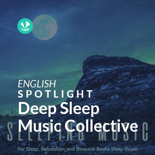 Deep Sleep Music Collective - Spotlight