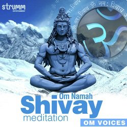 Om Namah Shivay Meditation-IiYNHEd5BkQ