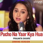 Pucho Na Yaar Kya Hua - Unwind Version