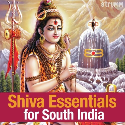 Shiva Essentials for South India