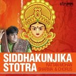 Siddhakunjika Stotra