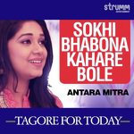 Sokhi Bhabona Kahare Bole