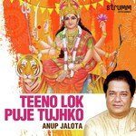Teeno Lok Puje Tujhko