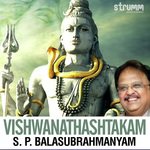 Vishwanathashtakam